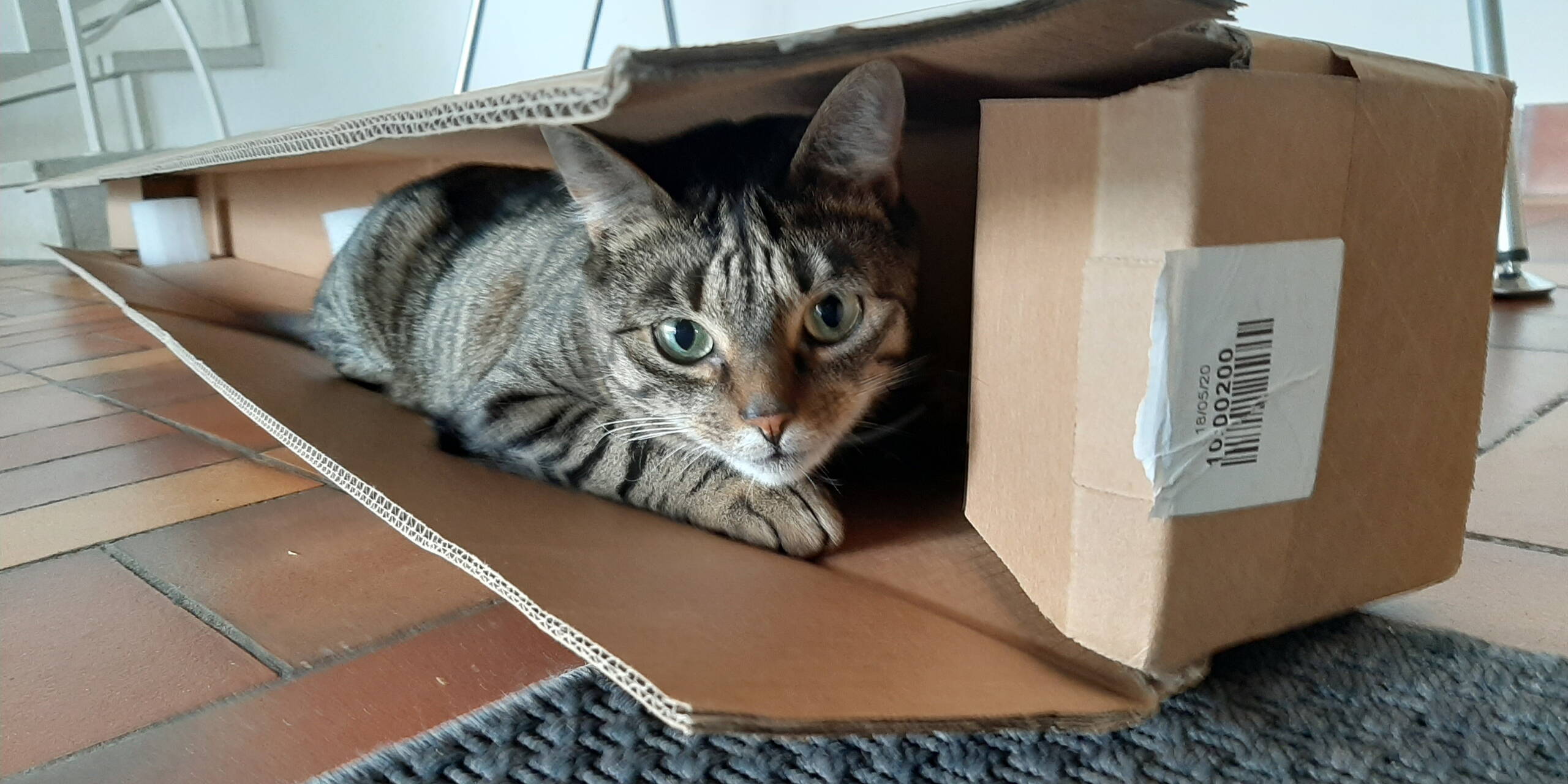 Krisenintervetion OKey Winterthur Wohngruppe Kind und Jugend