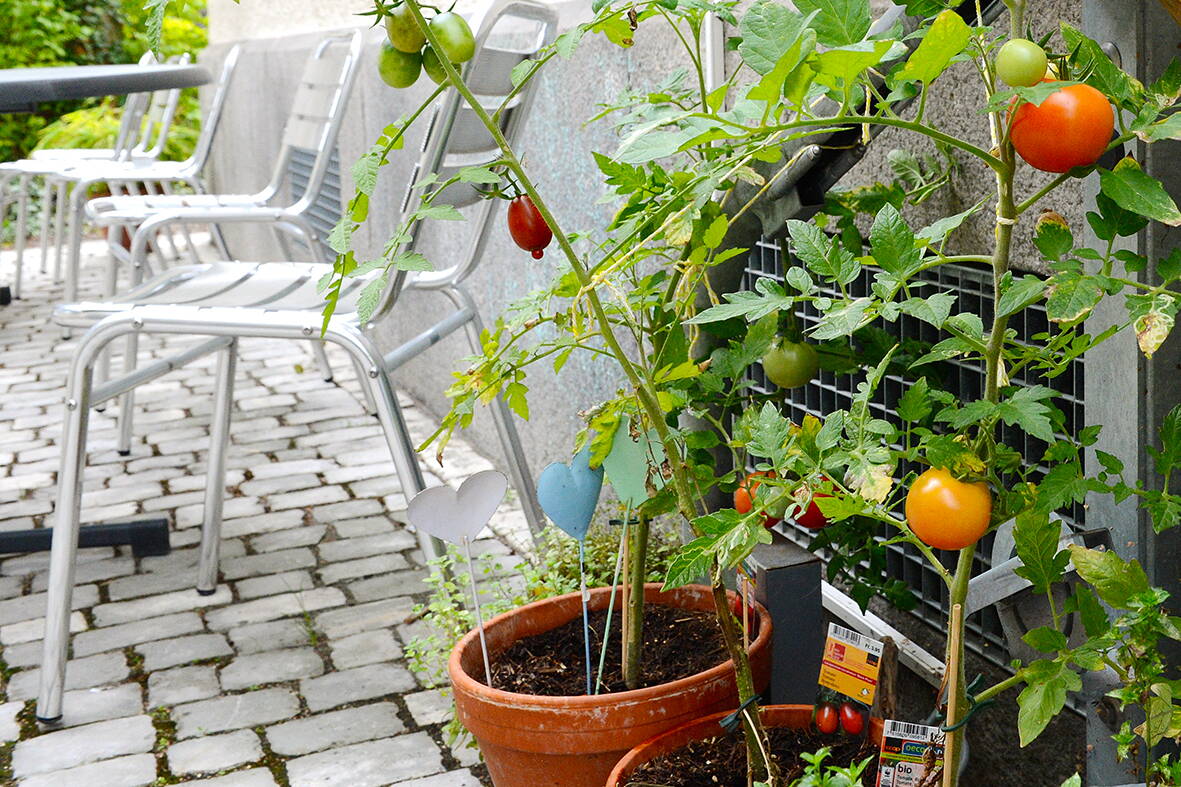 Familienwohnen OKey Winterthur